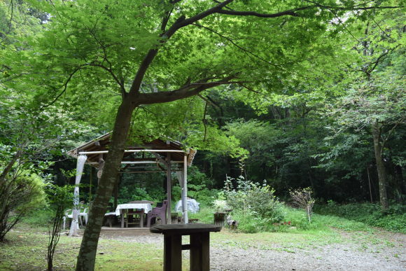 b0242873_01315701.jpg