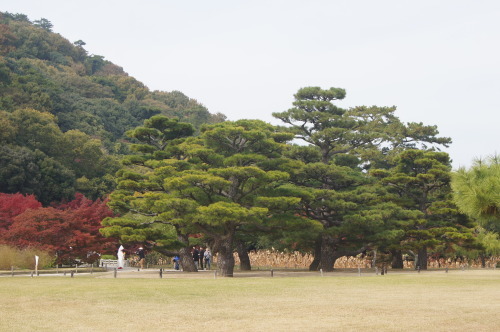 栗林公園　１_e0181373_20215602.jpg