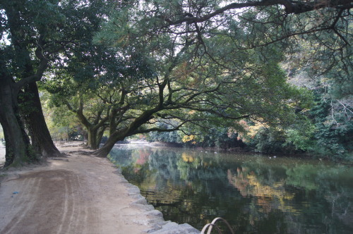 栗林公園　１_e0181373_20222935.jpg