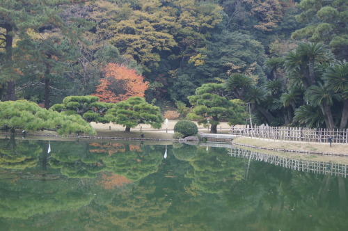 e0181373_20224377.jpg