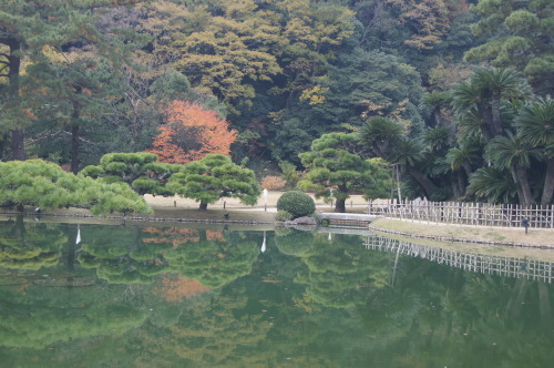 栗林公園　１_e0181373_20224377.jpg