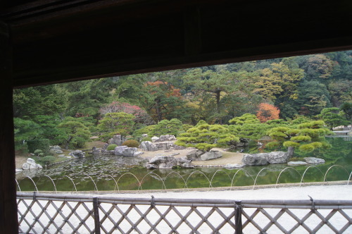 e0181373_20225147.jpg