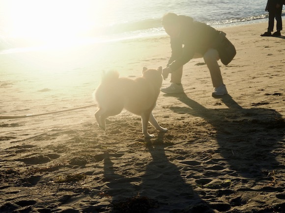 こっちゃん海を渡る　〜２０１８　晩秋〜　豊島→直島編_a0232774_10452264.jpg