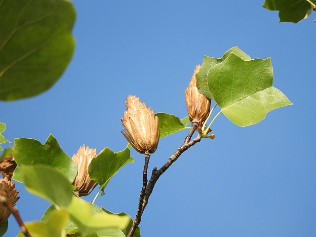 f0378979_16153188.jpg