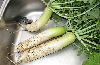 f0003283_17291004.jpg