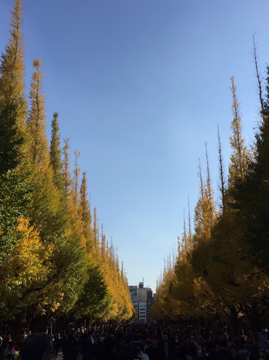 「銀杏祭り」_a0075684_10123288.jpg