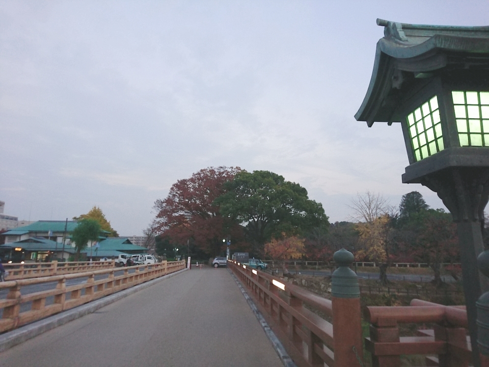 かゆみ肌対策_b0398586_16583300.jpg