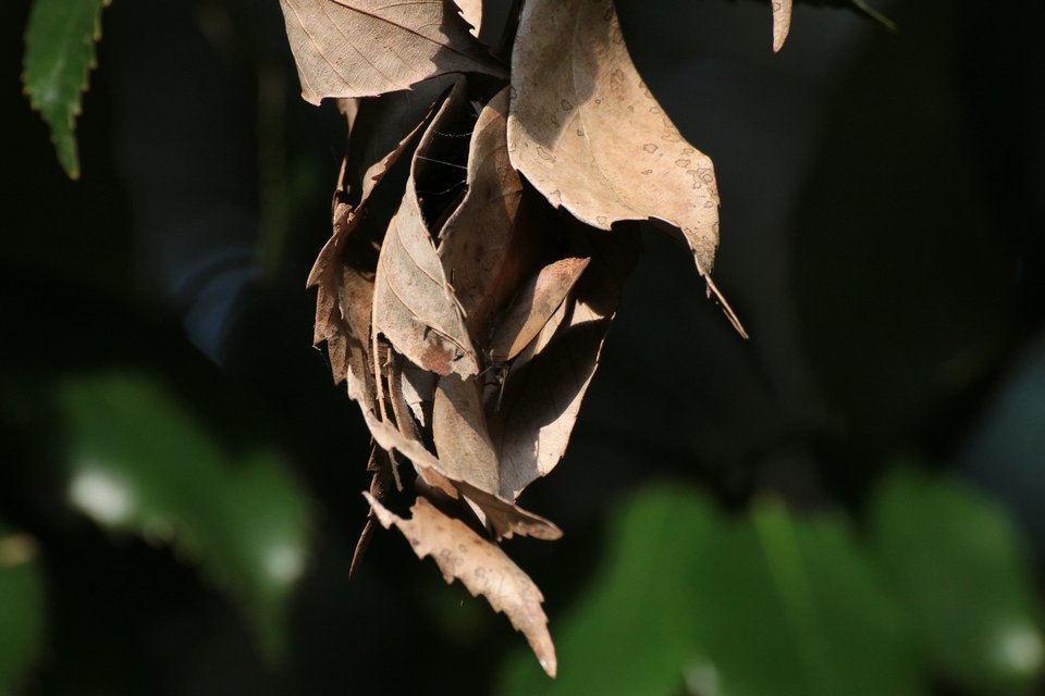 f0373486_17502555.jpg