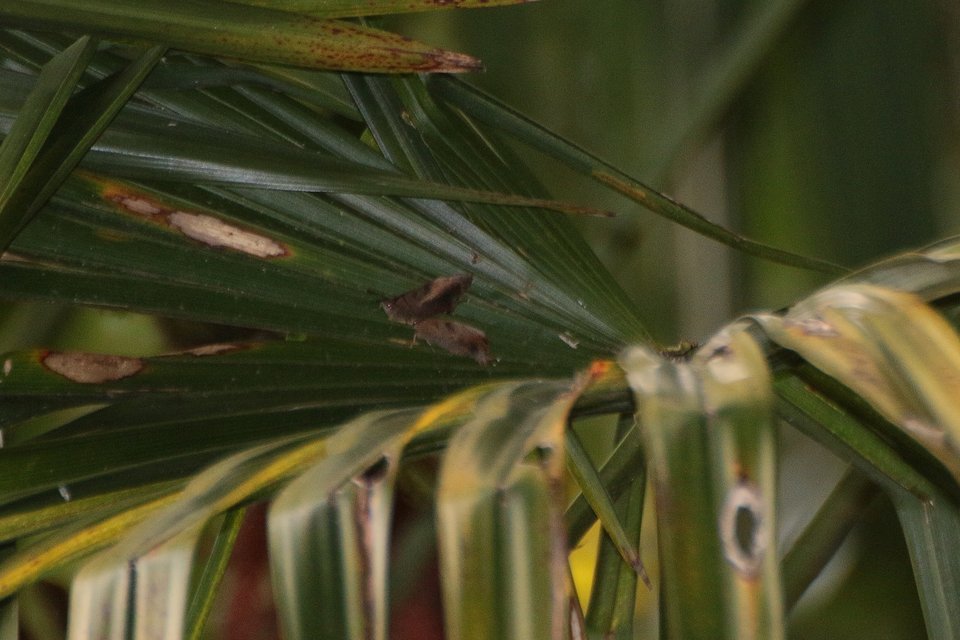 f0373486_17513864.jpg