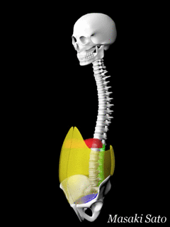 f0074992_11505812.gif