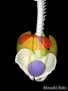 f0074992_11510208.gif