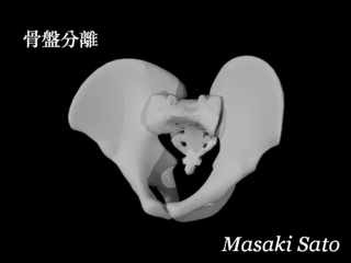 f0074992_11572982.gif