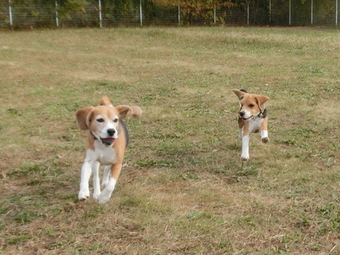 a0319693_1532612.jpg