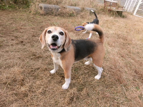a0319693_1584437.jpg
