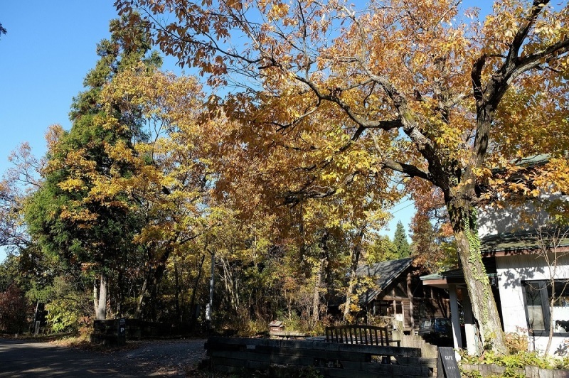 d0234293_18495325.jpg