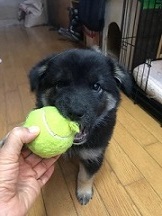 卒業 ☆ ちぐさ_f0242002_13545617.jpg