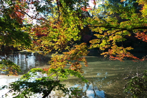 a0263109_21521981.jpg