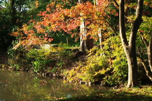a0263109_21535113.jpg
