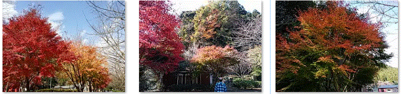 f0231709_00064067.gif