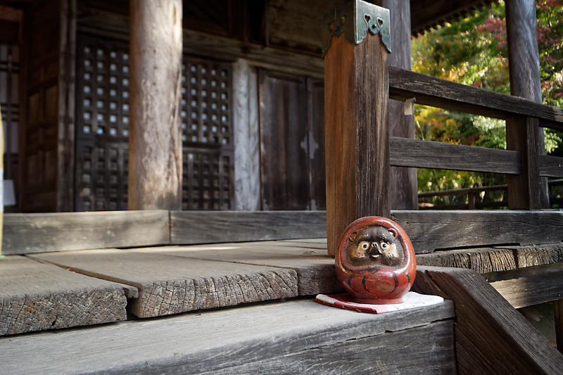 2018京都の紅葉・洛西 金蔵寺 其の二_f0032011_19403216.jpg