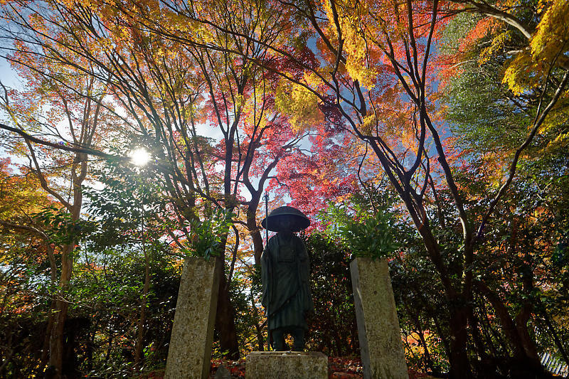 2018京都の紅葉・洛西 金蔵寺 其の二_f0032011_19403438.jpg