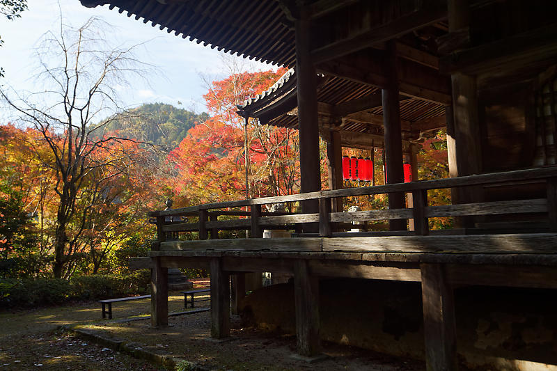 2018京都の紅葉・洛西 金蔵寺 其の二_f0032011_19434165.jpg