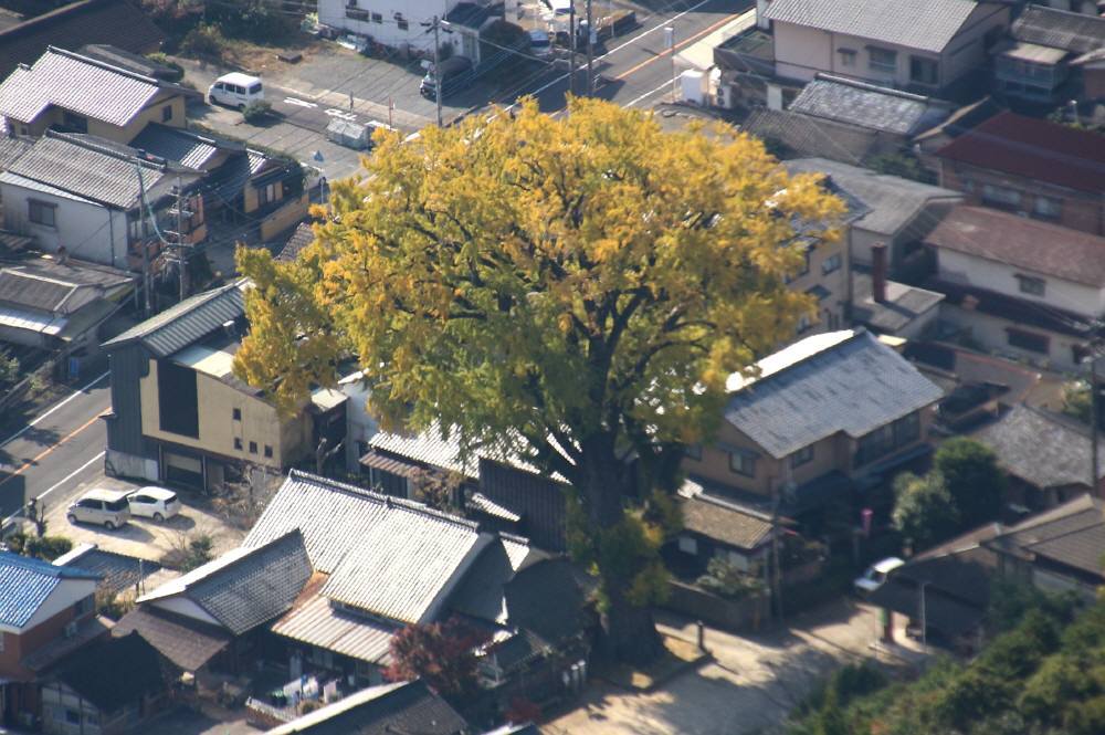 f0212511_23383026.jpg