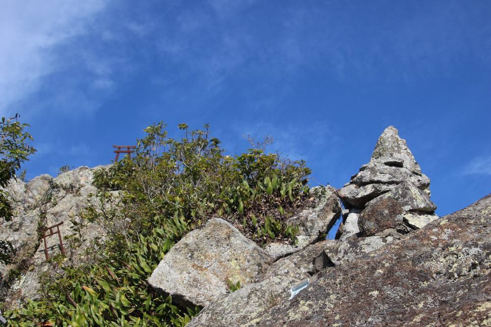 f0212511_23384338.jpg