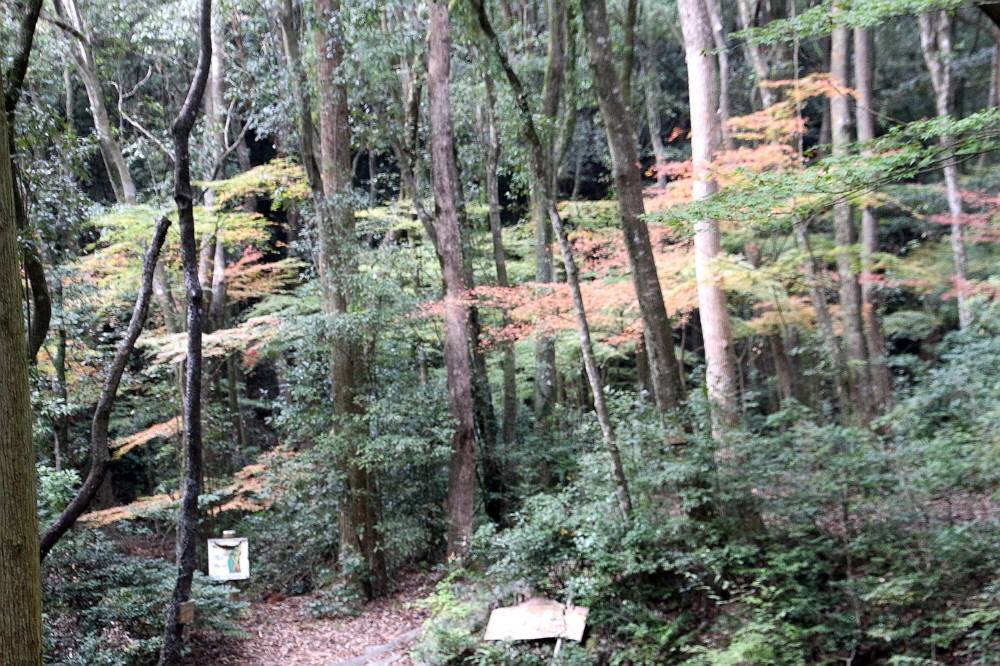 f0212511_23400284.jpg