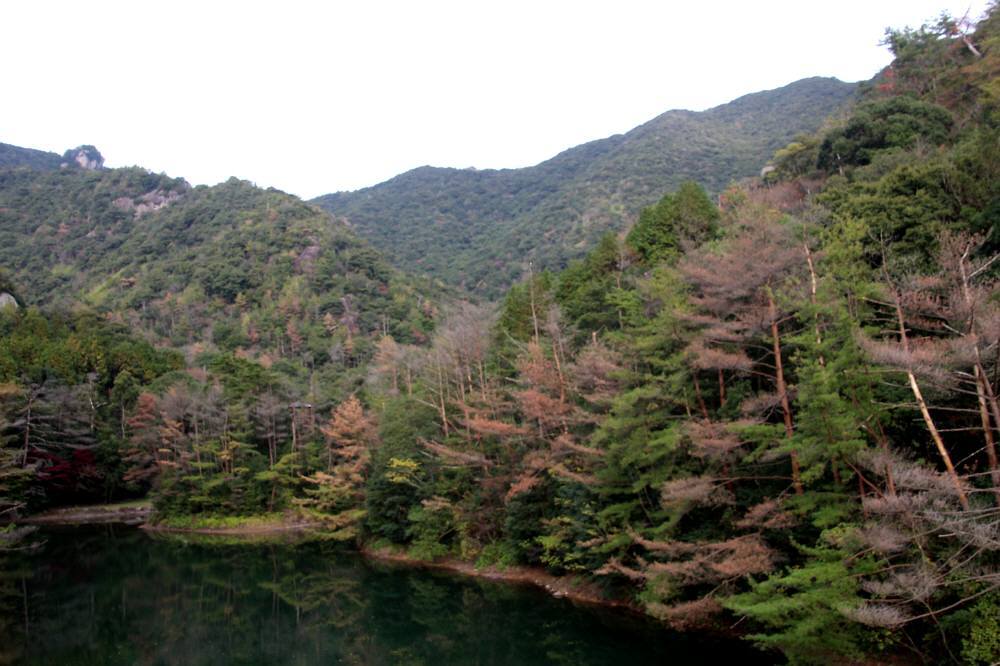 f0212511_23402188.jpg