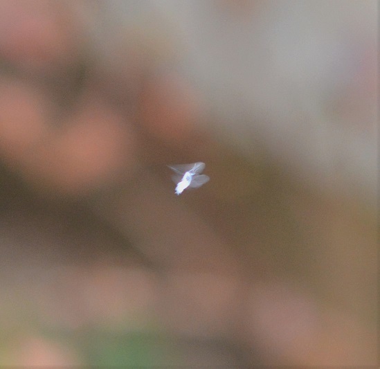d0207515_00025016.jpg