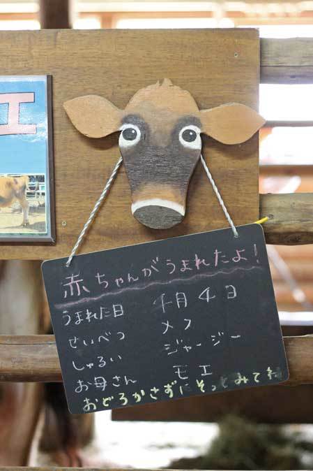 生後三日の牛の赤ちゃん（埼玉県こども動物自然公園）_b0355317_21432680.jpg