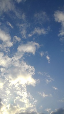 a0172222_23152890.jpg