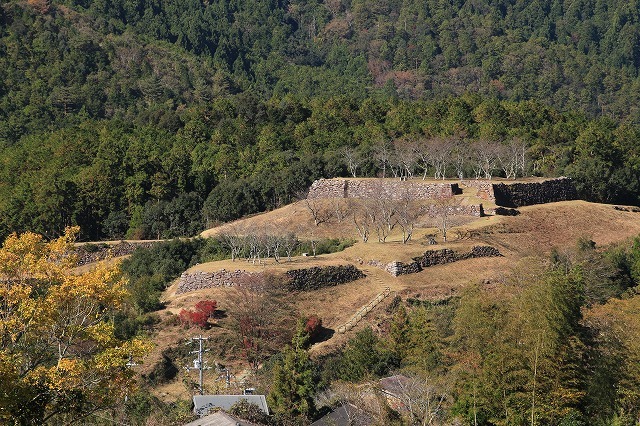 丸山千枚田と赤木城跡散策（撮影：１１月１６日）_e0321325_17084225.jpg