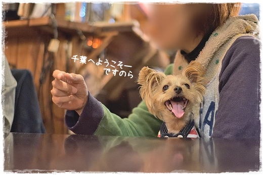 d0179828_09051894.png