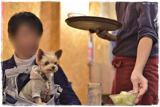 d0179828_09061848.png