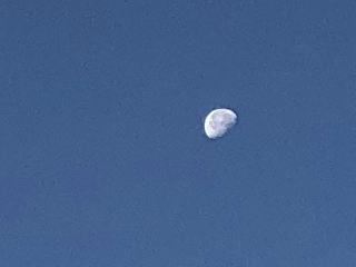 朝の月に空気の澄んでいるのを知る_b0040332_21485721.jpg