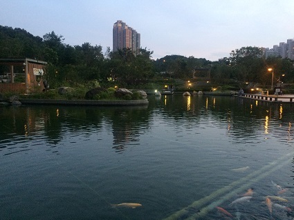 f0371533_16381859.jpg