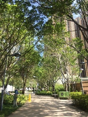 f0371533_16384132.jpg