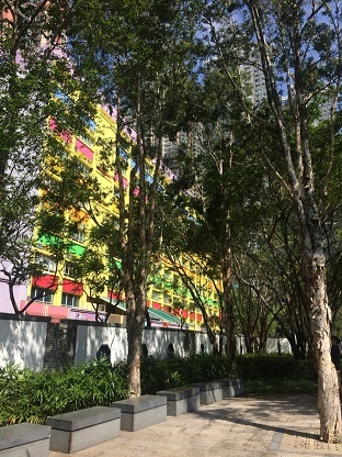 f0371533_16390060.jpg
