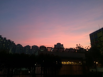 f0371533_16393906.jpg
