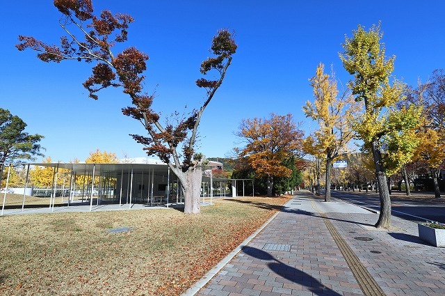 a0242438_20414216.jpg