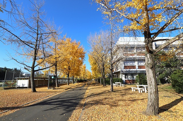 a0242438_20420064.jpg