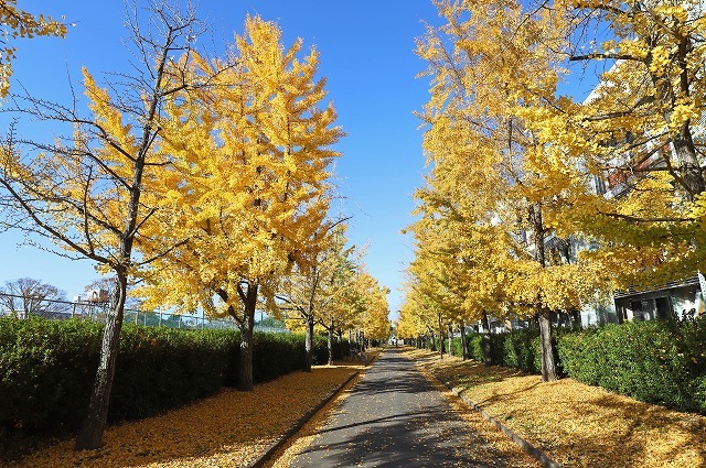 a0242438_20421505.jpg