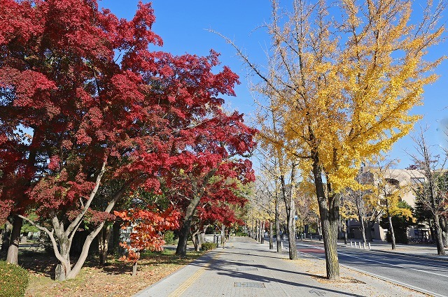 a0242438_20421575.jpg