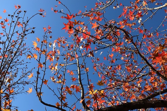 a0242438_20431228.jpg