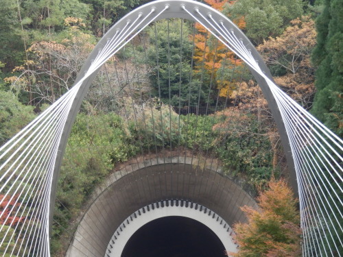 a0279738_20141071.jpg