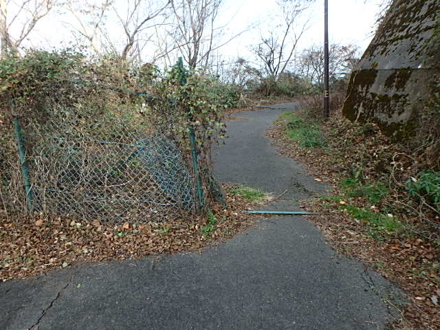 東六甲 十八丁尾根 おじさんの休日_f0334143_816536.jpg