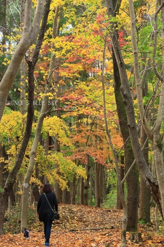 c0145250_10214417.jpg