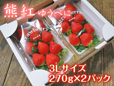 熊本県産朝採りイチゴ！令和4年度の先行予約受付スタート！第1弾！熊本限定栽培品種のイチゴ『熊紅』_a0254656_18372101.jpg